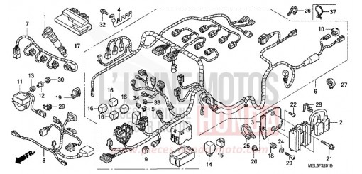 WIRE HARNESS (CBR1000RR6/7) CBR1000RR6 de 2006